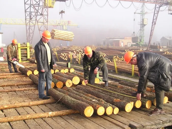 Волинські військові отримають робочі місця у лісі