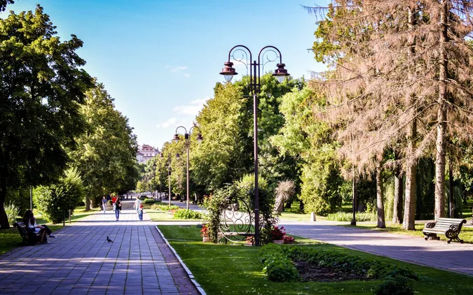 У центральному парку Луцька з початку року оштрафували понад 100 водіїв