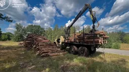 На Любомльщині серед лісу помітили 70 м³ «лівої» деревини (фото)