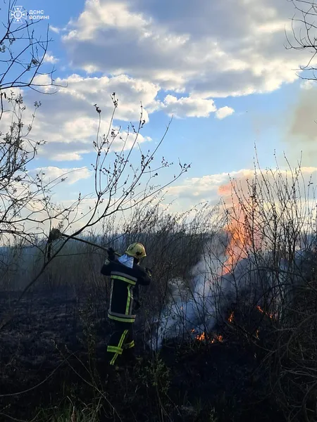 Великдень у вогні: на Волині займання виникали одне за одним (фото)