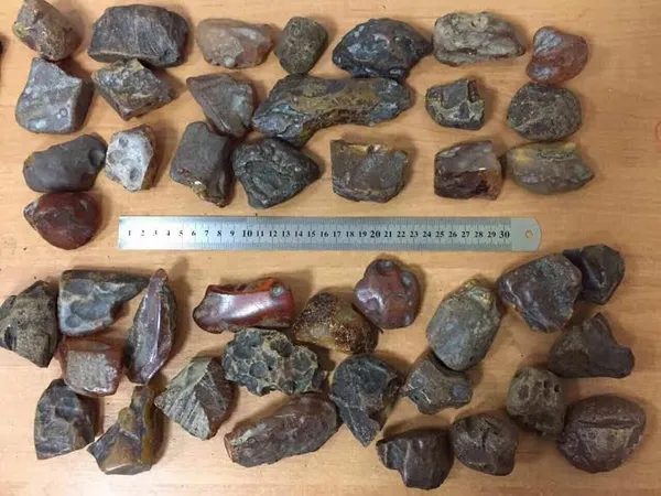 На «Ягодині» вилучили майже 2 кілограми незаконного бурштину (фото)