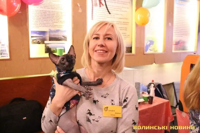 Мейн-куни, сфінкси, бенгали: у Луцьку відбулася Національна виставка кішок (фото)