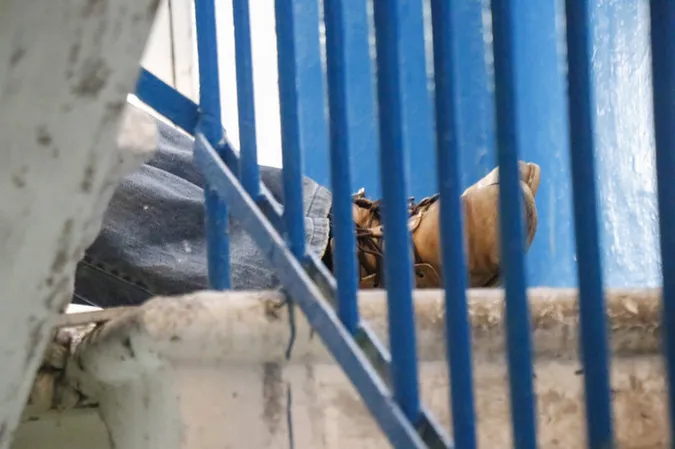 У Старовижівському районі повісився пенсіонер