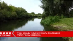 Річки можуть «пересохнути»: на заході України очікують подальше падіння води (відео)