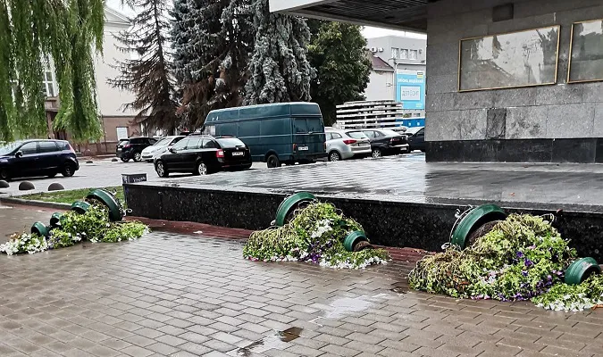 У центрі Луцька вітер перекинув «піраміди» з квітами (фото, відео)