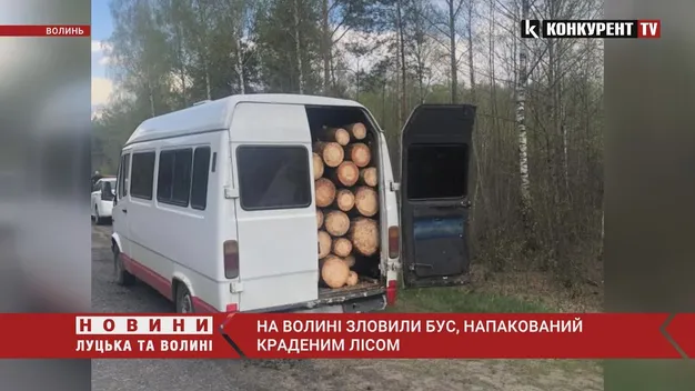 Напакували бус «під зав'язку»: на Волині зловили крадіїв лісу (фото, відео)