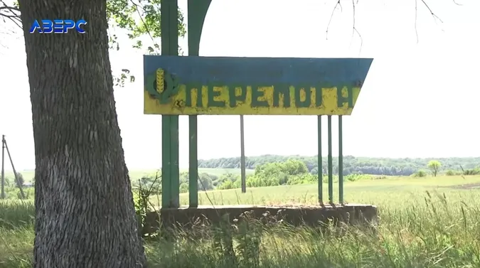 Під Луцьком заростає маками 1,5 тисячі гектарів родючої землі: що сталося (відео)