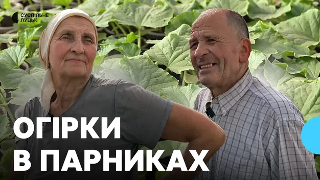 На Волині у селі з кумедною назвою не сплять ночами через огірки (відео)