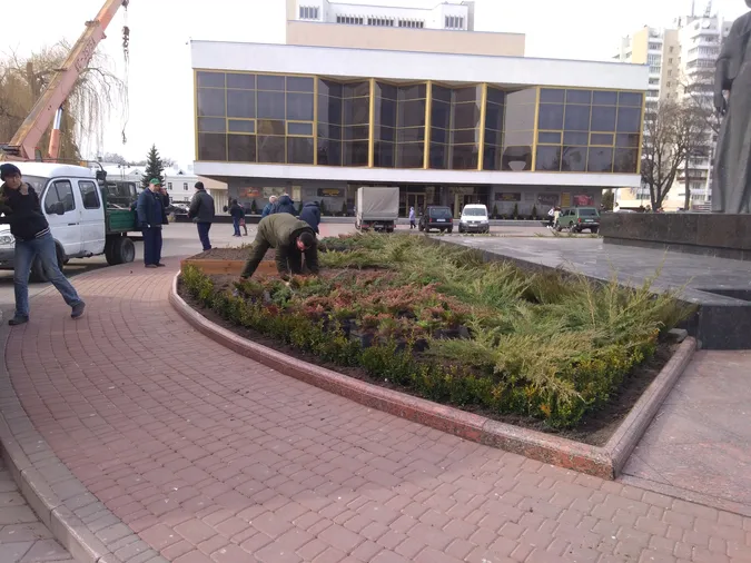 На Театральному майдані Луцька до виставки готуються лісівники
