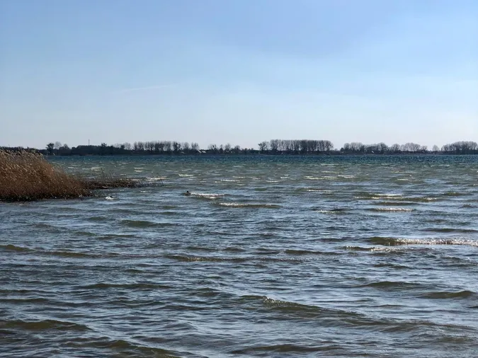 Море серед лісу: волинські морські краєвиди закохують мережу (фото)