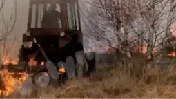 Ще б трішки й загорівся ліс: на Камінь-Каширщині – жахлива пожежа (відео)