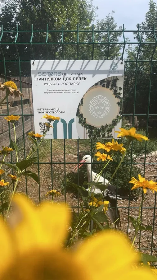 У Луцьку бренд косметики взяв під опіку лелек у зоопарку (фото)