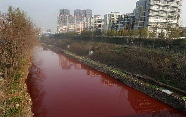 Майже половина підприємств на Волині забруднюють екологію без дозволів