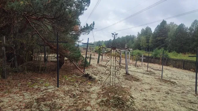 Цвинтарі, які зникли в одну мить: на Поліссі знайшли таємничі покинуті місця (фото)