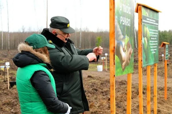Як Володимир Гунчик сосонки садив (фото, відео)