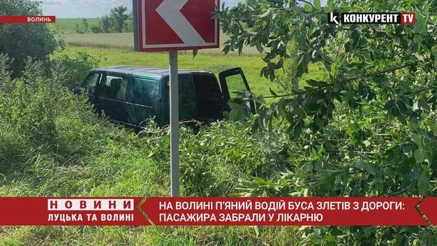 У Луцькому районі п'яний на бусі злетів у кювет (фото, відео)