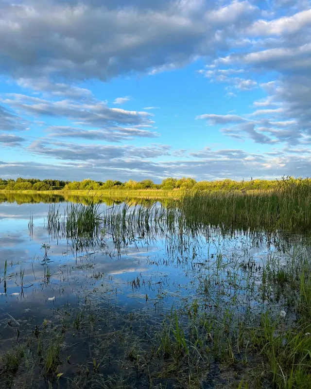 Глибоке і з прозорою водою: біля Луцька є озеро, де водиться багато риби (фото)