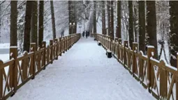 Топ-5 локацій біля Луцька для зимового відпочинку (фото)