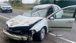 Смертельна ДТП на краденому авто: деталі жахливої аварії під Луцьком (фото)