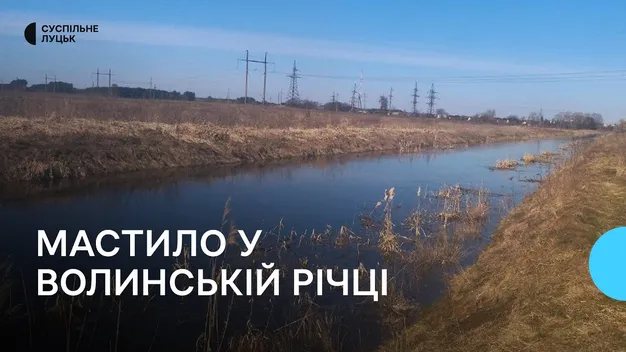 На Ковельщині у річку потрапили трансформаторні мастила: чи критичне забруднення (відео)