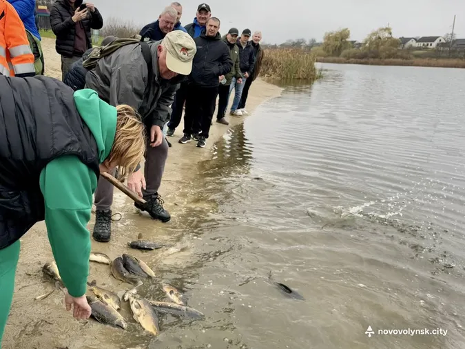 Коропи, амури, карасі: у Нововолинську в озеро випустили пів тонни риби (фото)