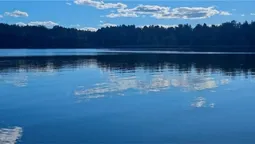 У нетрях Полісся причаїлося містичне чудодійне цілюще озеро з кришталевими водами (фото)