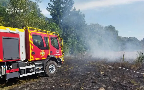 Шість пожеж за добу: на Волині другий день гасять торфовище (фото)