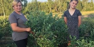 Сімейна справа, яка об'єднує: як родина з Волині розвиває бізнес на лохині (фото)