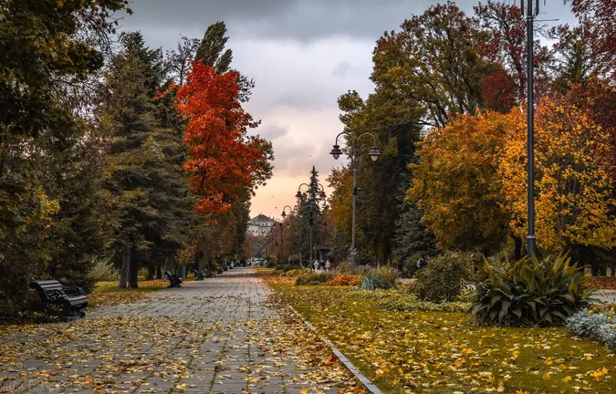 Фото: Юрій Фетисов