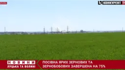 Посівна ярих зернових та зернобобових завершена на 75% (відео)