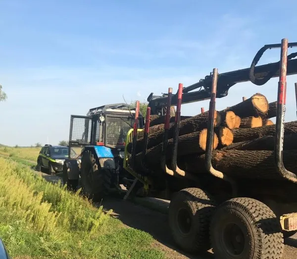На Волині на приватній пилорамі знайшли дуби без документів (фото)