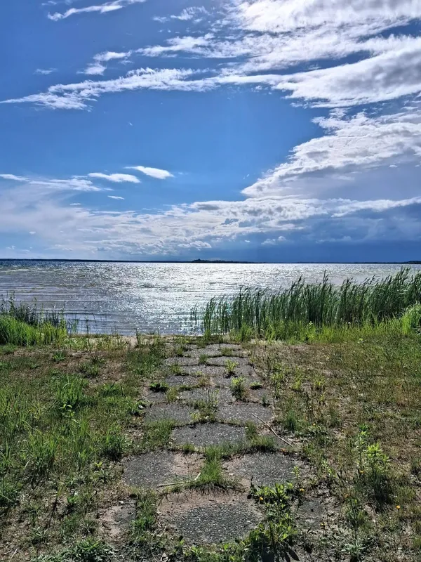 Світязь вразив незвичним видовищем: вода в озері стала схожою на рідке срібло (фото)