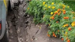 У Луцьку водії знищили нові газони біля ЦНАПу (фото)