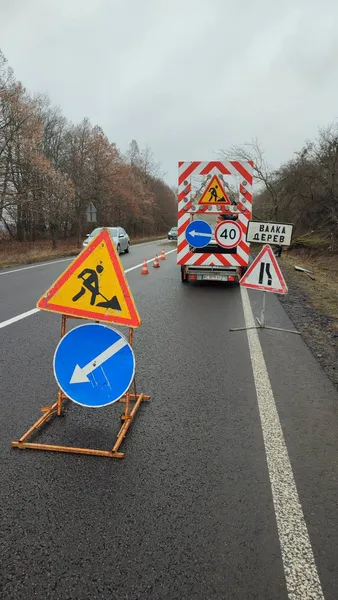 На Волині вітер повалив дерева на міжнародній трасі (фото)