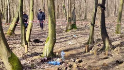 «Один із матір'ю телефоном говорив, коли вибухнуло»: подробиці загибелі трьох чоловіків на Волині (відео)