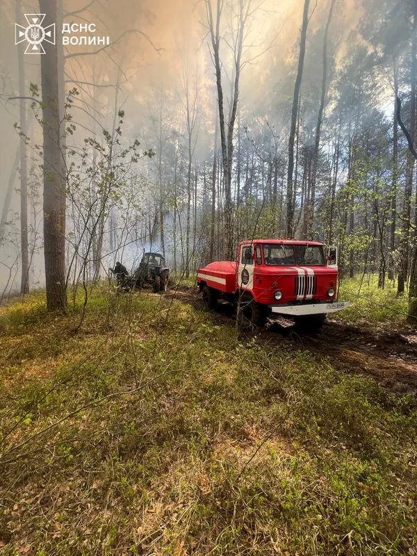 На Волині загасили кілька пожеж у лісах та чагарниках (фото)
