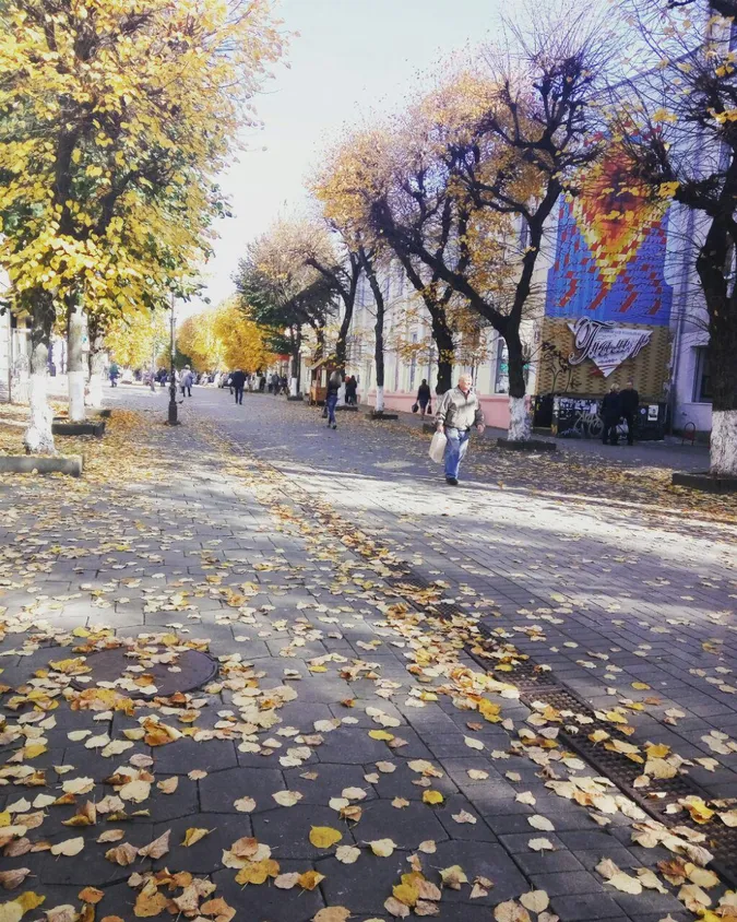 Луцьк побив майже 30-річний тепловий рекорд