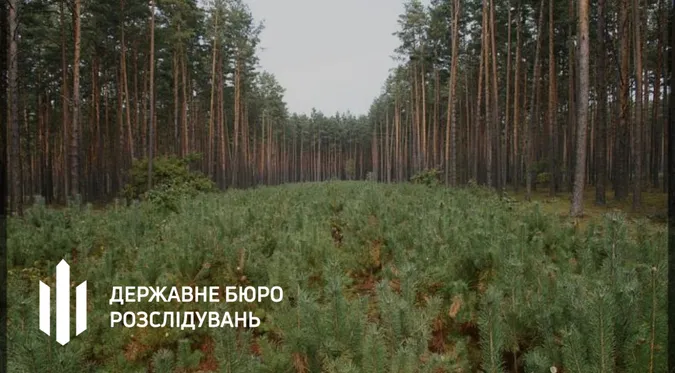 Посадовці лісової галузі Волині дозволили незаконні рубки на 21 млн грн – їх судитимуть