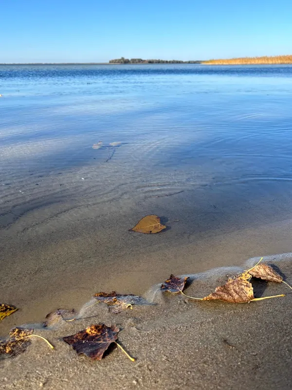 Тиша і спокій: показали неймовірні краєвиди осіннього Світязя (фото)