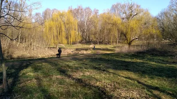 Як лучани дотримуються карантину (відео)