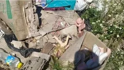 На Волині знайшли ще шість стихійних сміттєзвалищ (фото)