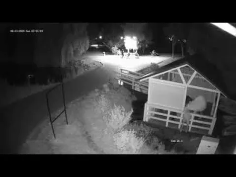 З луцького парку вкрали крісла-мішки: камери зафіксували злодіїв (відео)