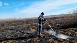 Три пожежі впродовж дня: на Волині горіли торфовища (фото)