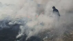 У Луцьку горів берег Стиру (фото) 