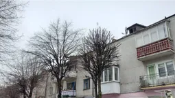 У Луцьку тестують «правильне» кронування дерев (фото)