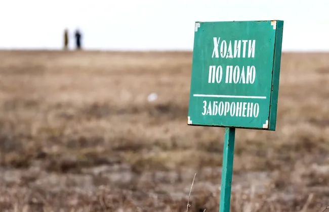 Мораторій на продаж сільгоспземель: втрачені можливості