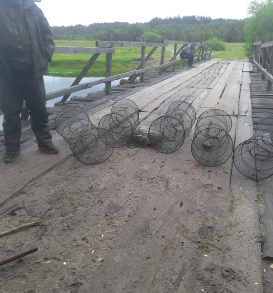 За тиждень на Волині рибні браконьєри завдали збитків на 8 тисяч гривень