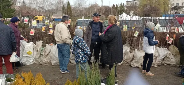 На Волині перевіряють продавців саджанців (фото)