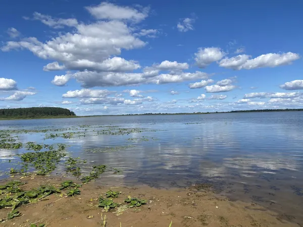 Прозора вода під безкраїм небом: показали краєвиди озера на Волині (фото)