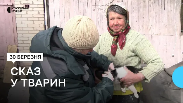 Виявили сказ: на Волині в селі вакцинують і людей, і тварин